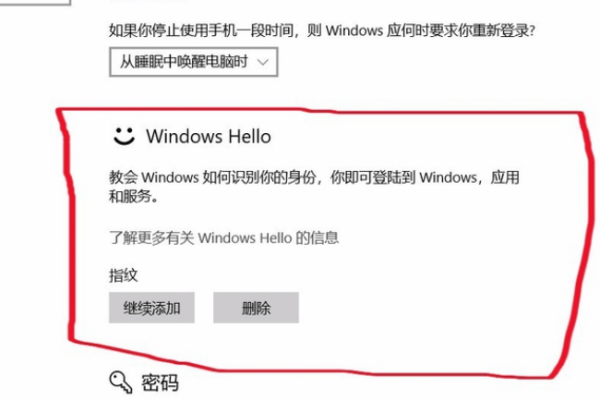 Win10电脑指纹设置为灰色的解决方法Win10 第5张